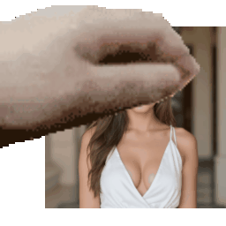 Pet Pet animation example